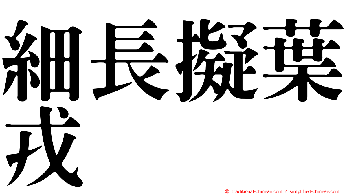 細長擬葉戎