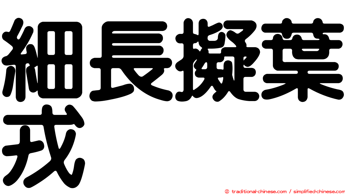細長擬葉戎