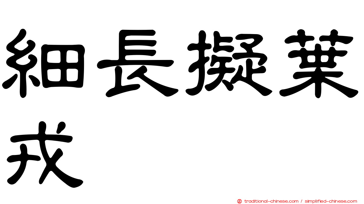 細長擬葉戎