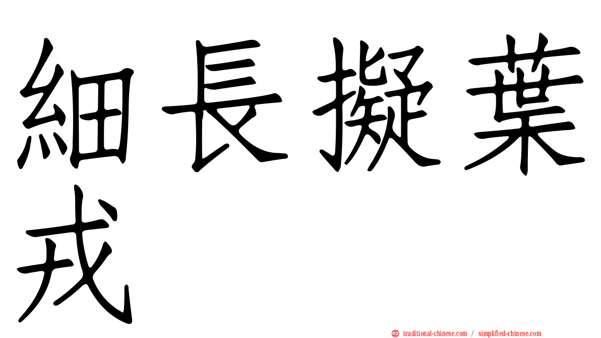 細長擬葉戎