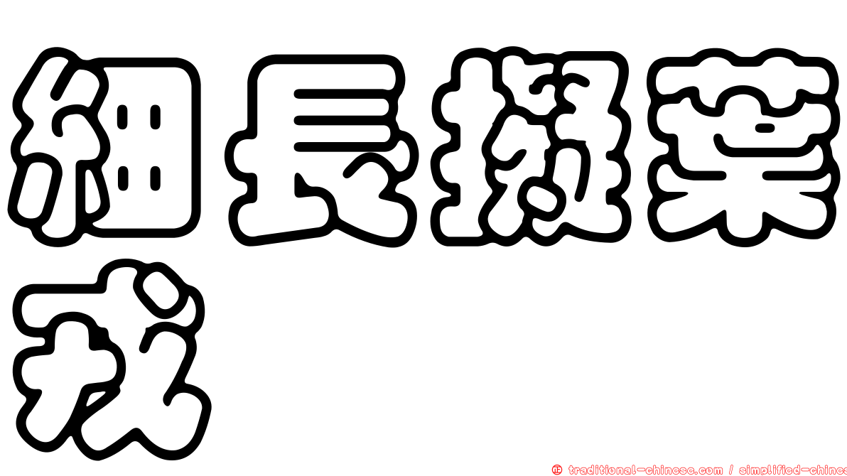 細長擬葉戎