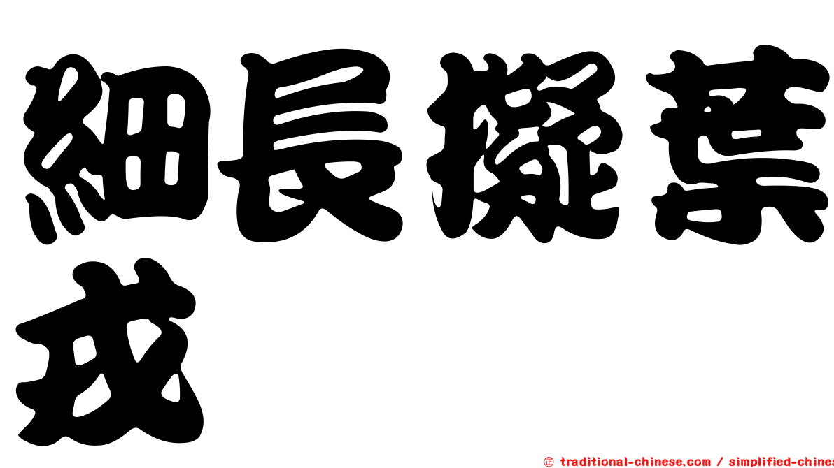 細長擬葉戎