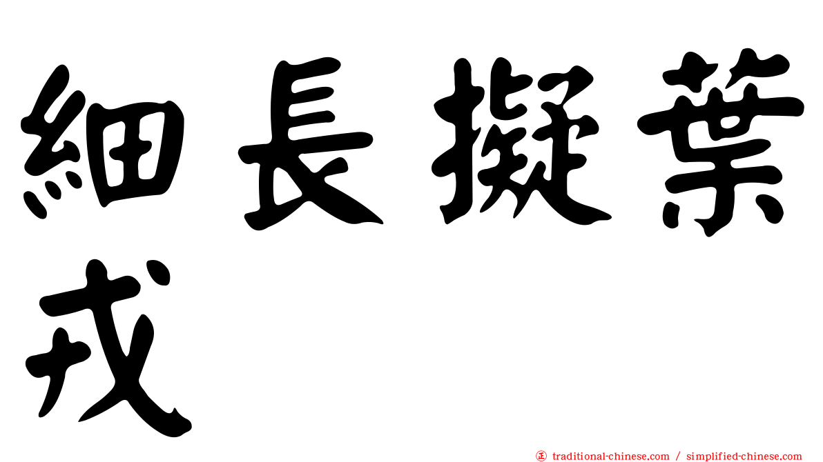 細長擬葉戎