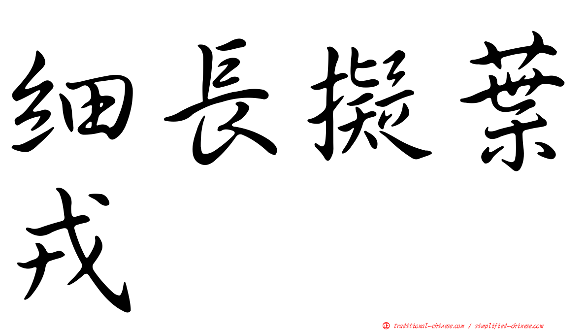 細長擬葉戎