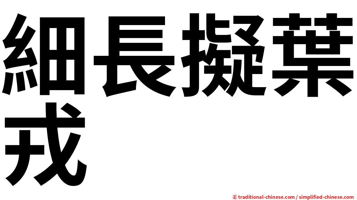 細長擬葉戎