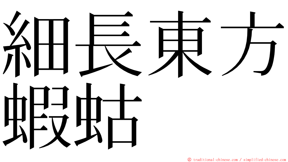 細長東方蝦蛄 ming font