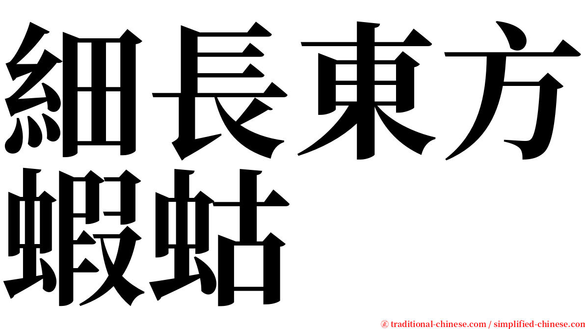 細長東方蝦蛄 serif font