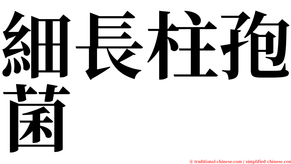 細長柱孢菌 serif font