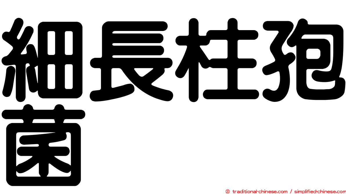 細長柱孢菌