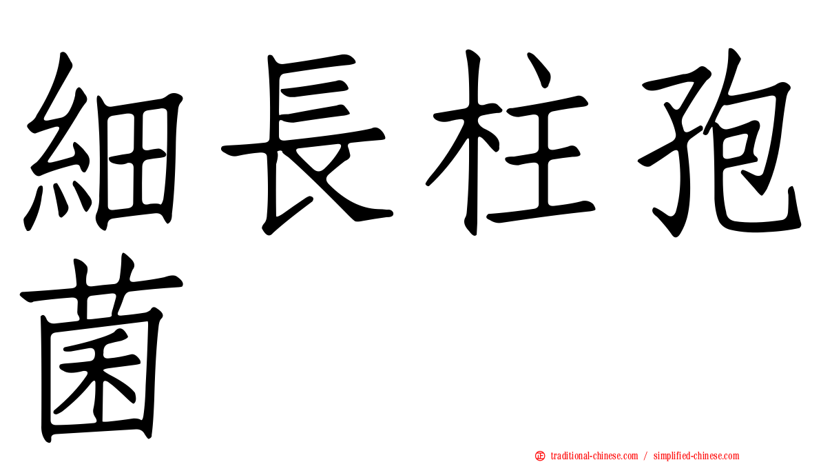 細長柱孢菌