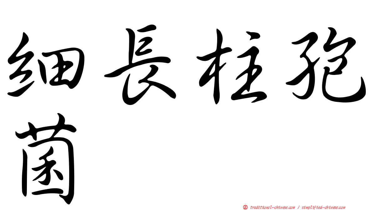 細長柱孢菌