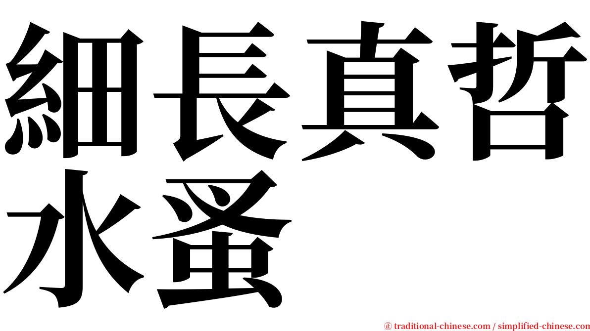 細長真哲水蚤 serif font