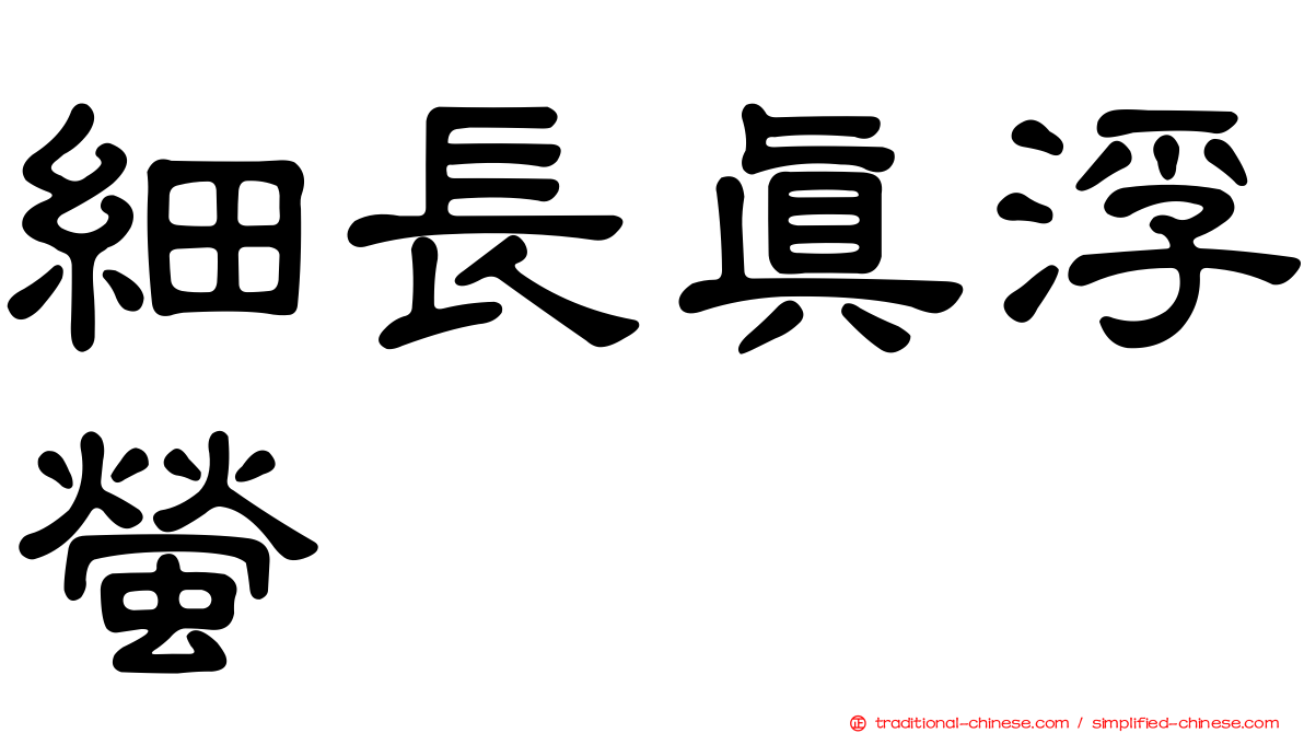 細長真浮螢