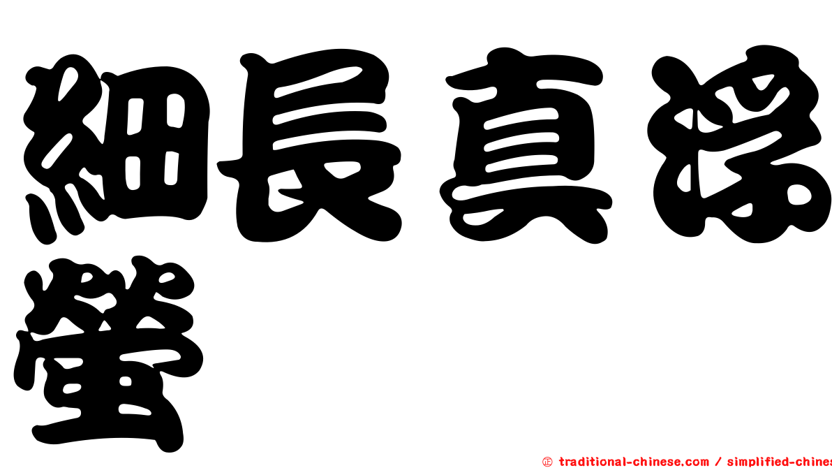 細長真浮螢