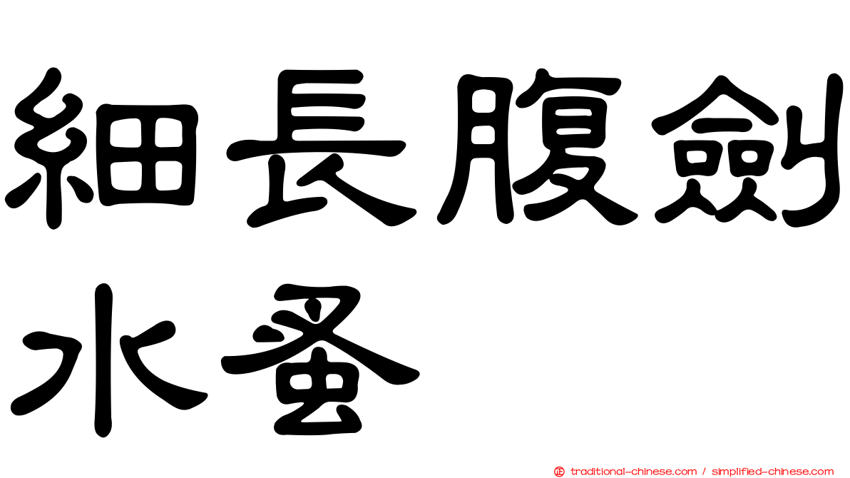 細長腹劍水蚤