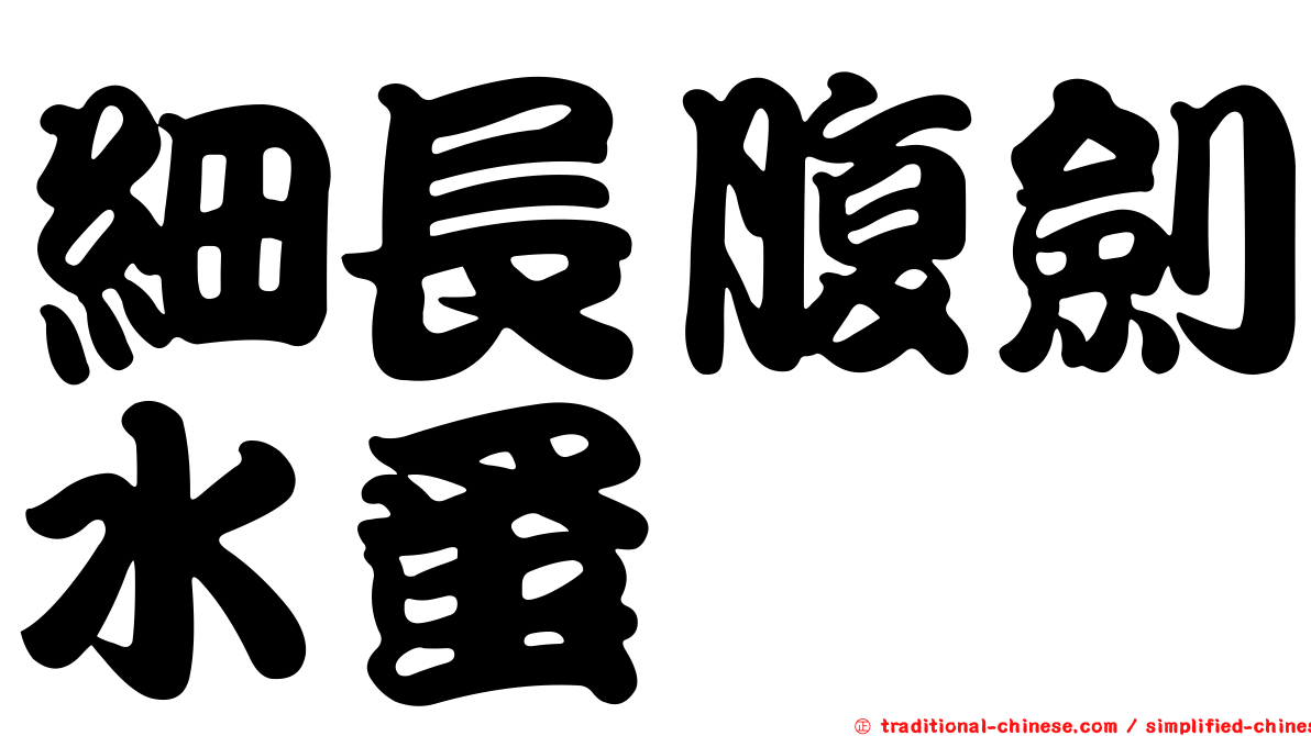 細長腹劍水蚤