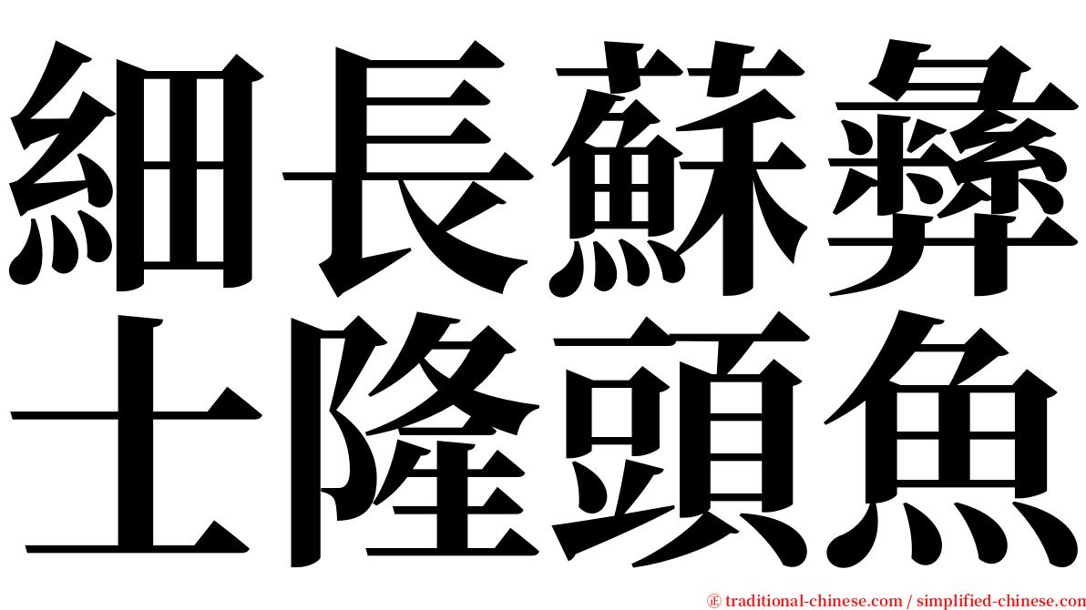 細長蘇彝士隆頭魚 serif font