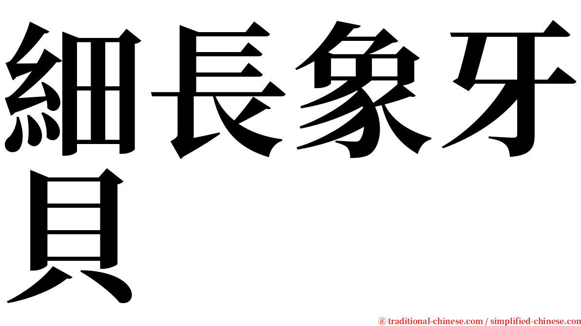 細長象牙貝 serif font