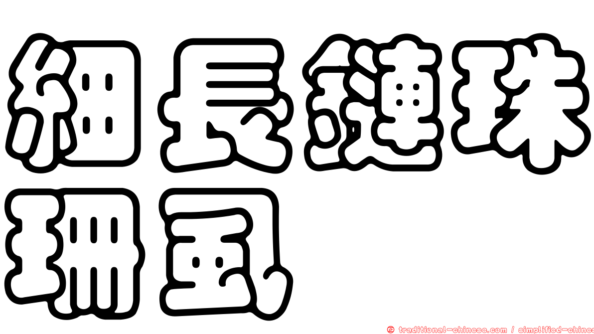 細長鏈珠珊虱