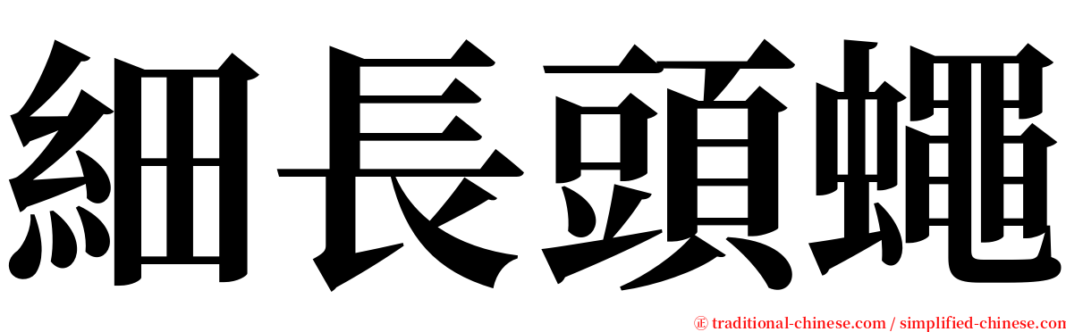 細長頭蠅 serif font