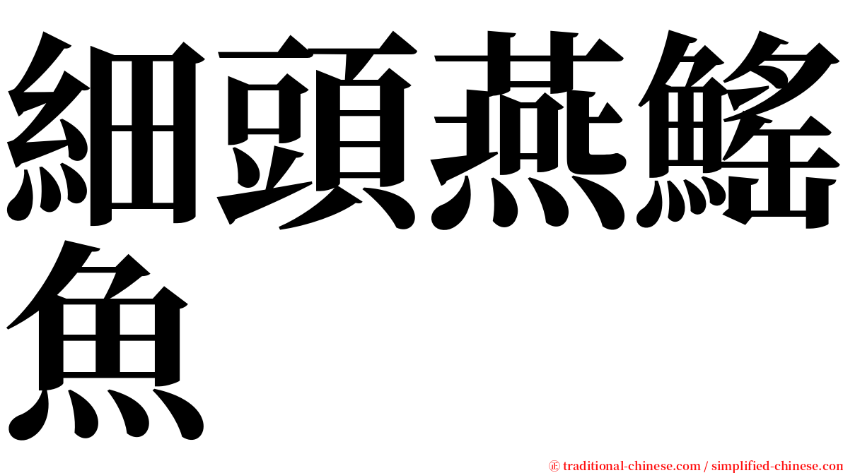 細頭燕鰩魚 serif font