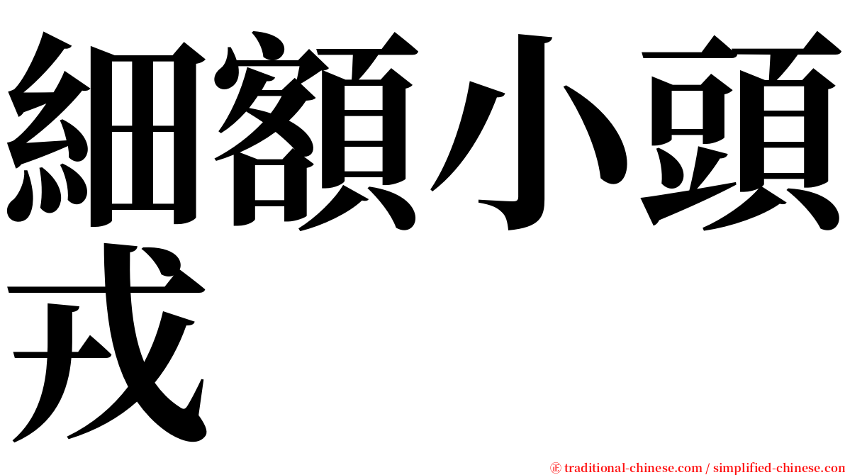 細額小頭戎 serif font