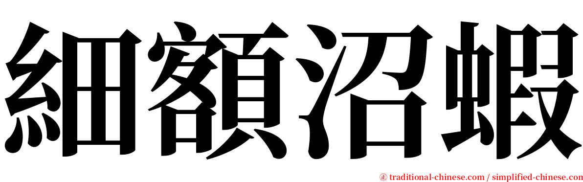 細額沼蝦 serif font