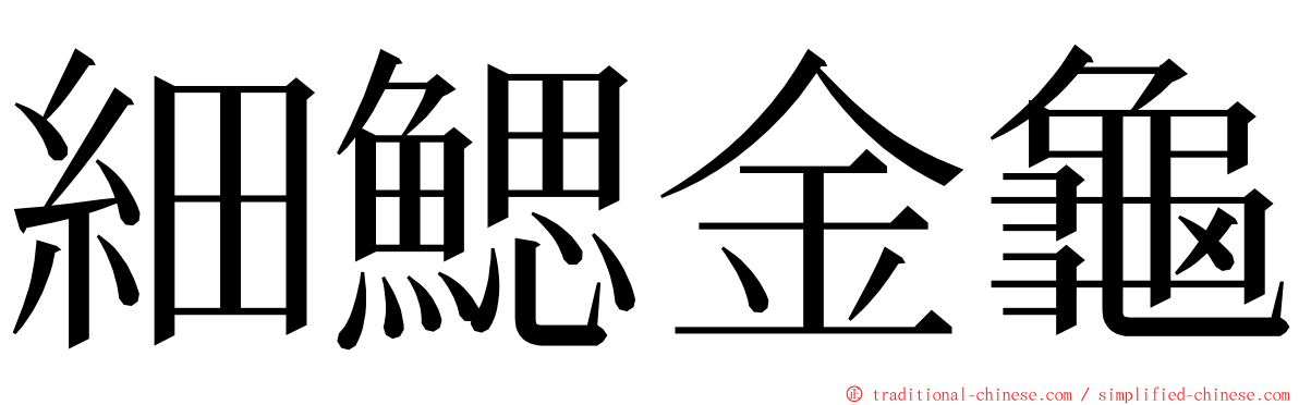 細鰓金龜 ming font