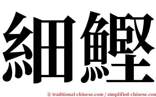 細鰹 serif font