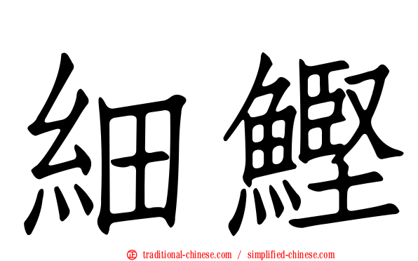 細鰹