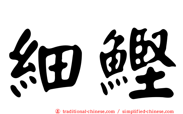 細鰹