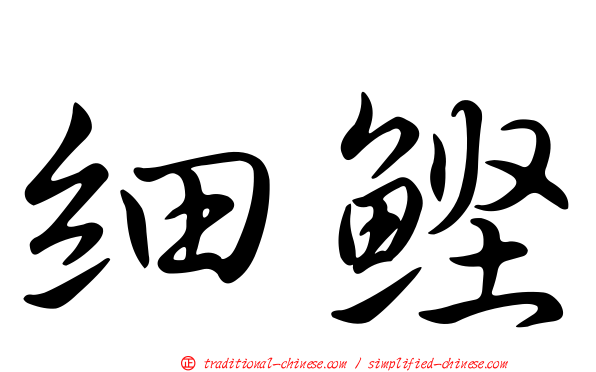 細鰹