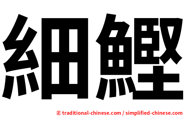 細鰹
