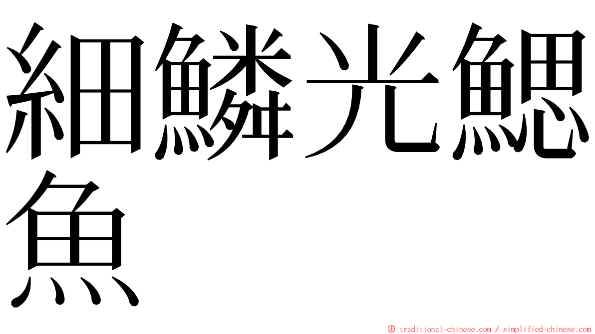 細鱗光鰓魚 ming font