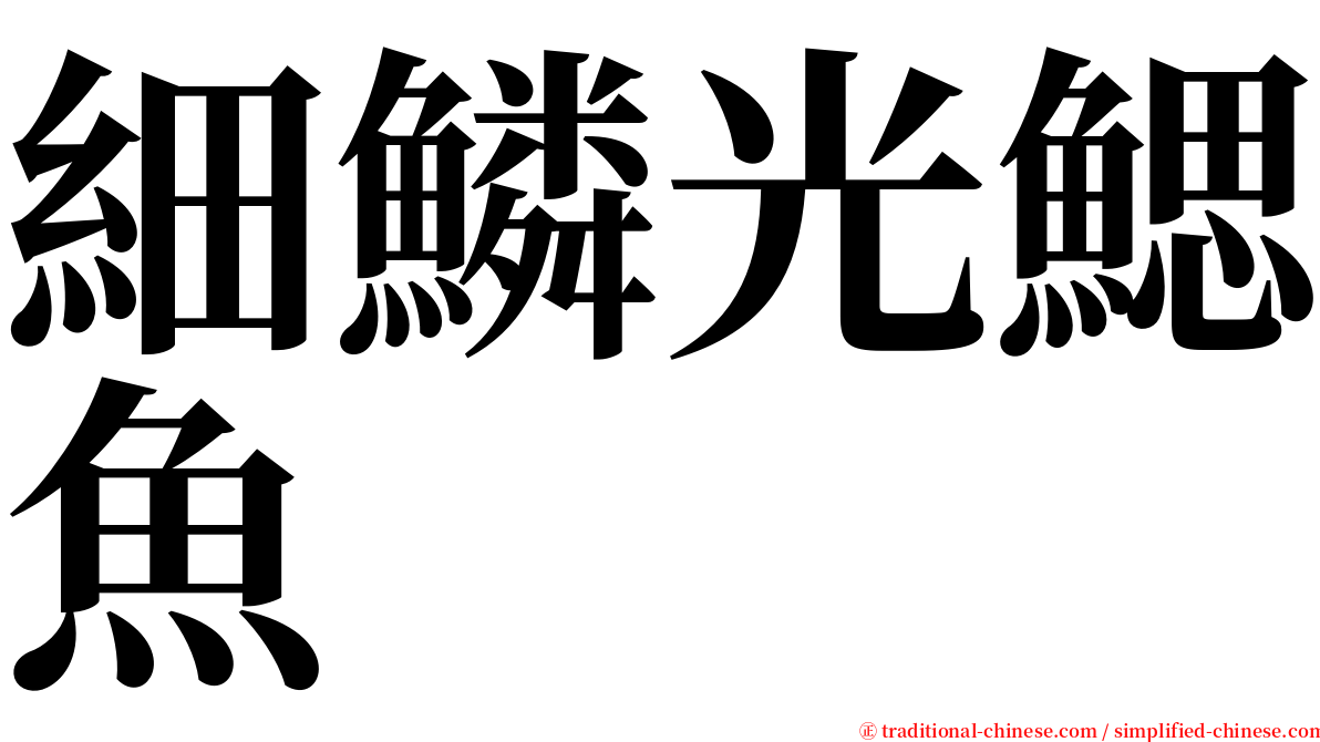 細鱗光鰓魚 serif font