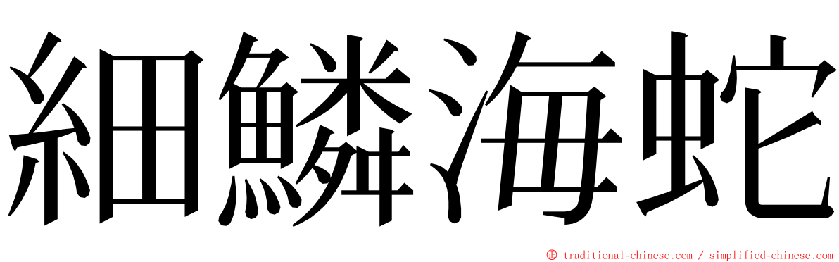 細鱗海蛇 ming font