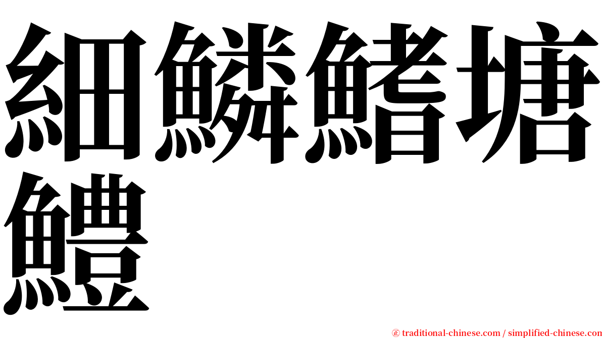 細鱗鰭塘鱧 serif font