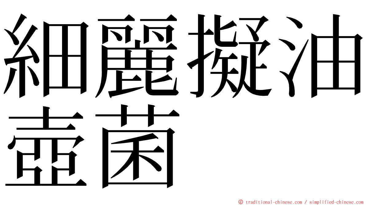 細麗擬油壺菌 ming font