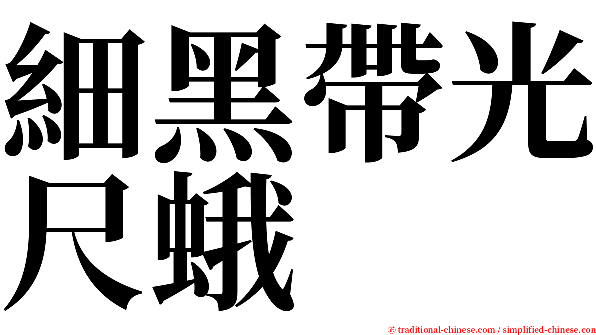 細黑帶光尺蛾 serif font