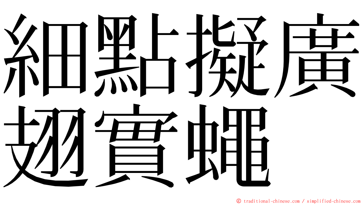 細點擬廣翅實蠅 ming font