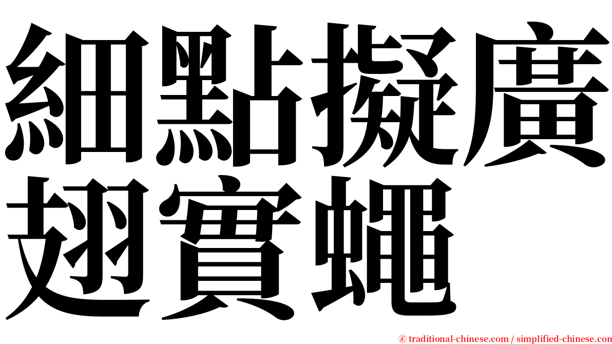 細點擬廣翅實蠅 serif font