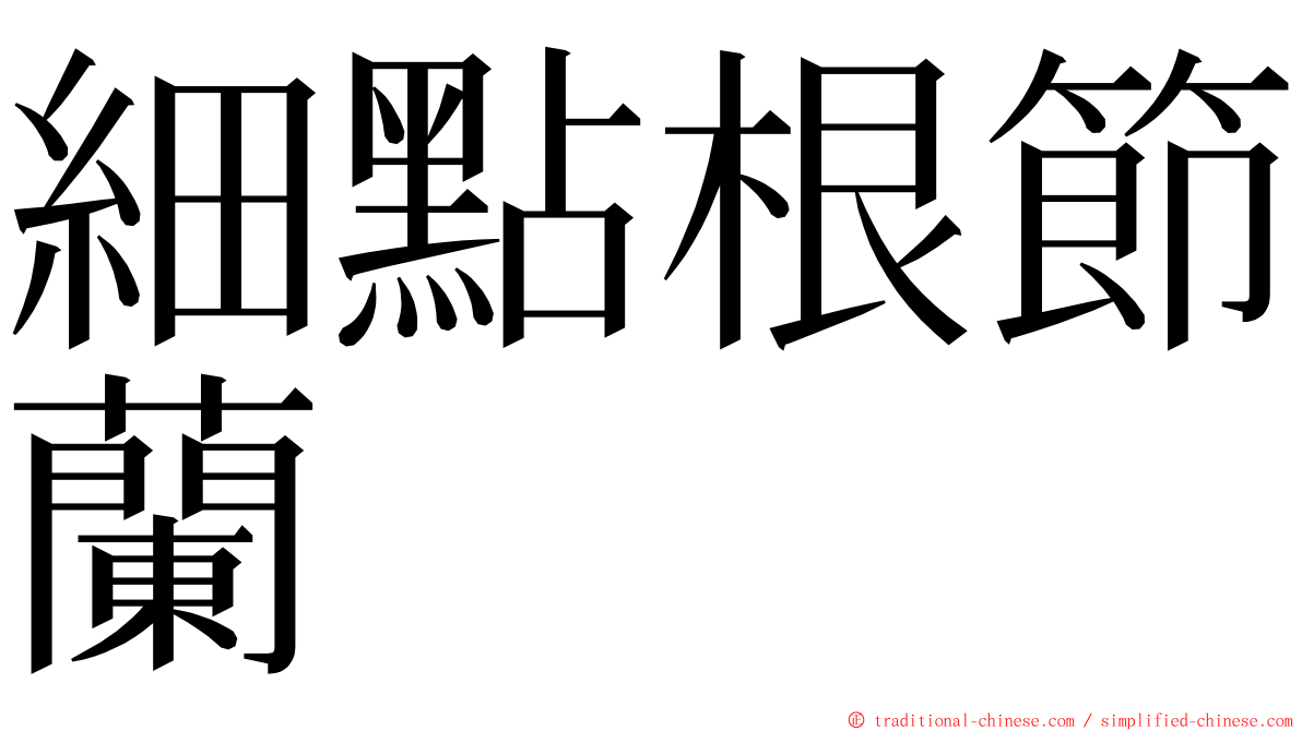 細點根節蘭 ming font