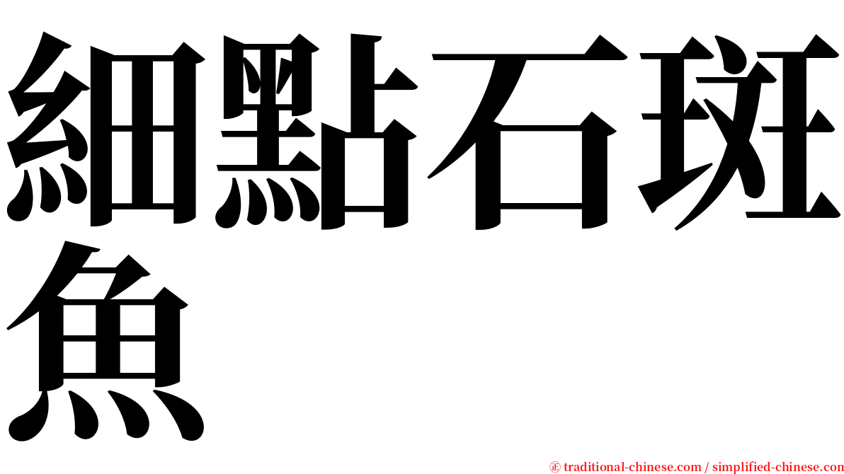 細點石斑魚 serif font