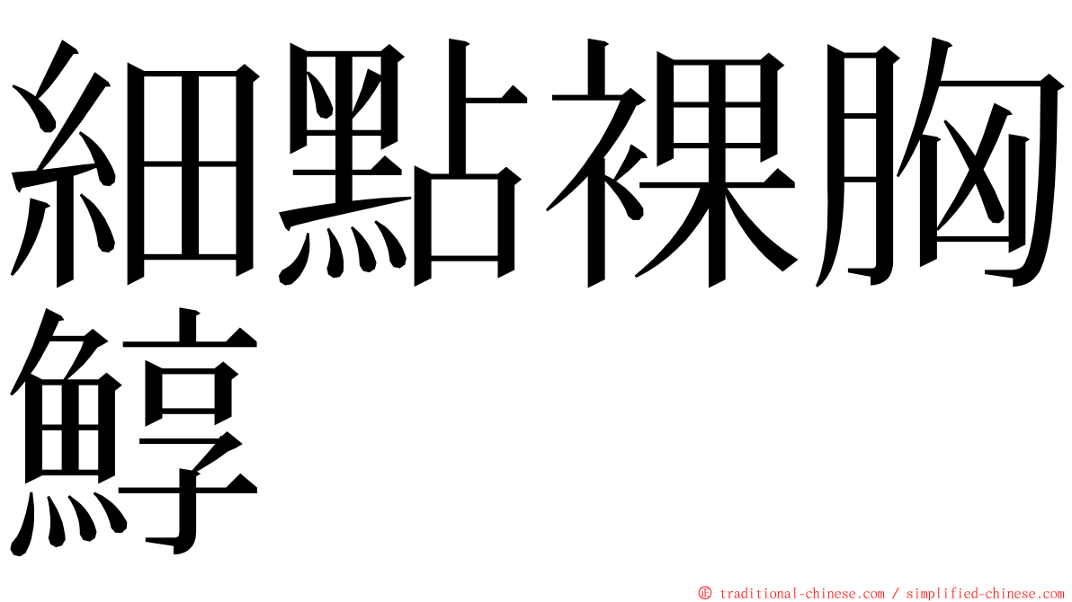 細點裸胸鯙 ming font