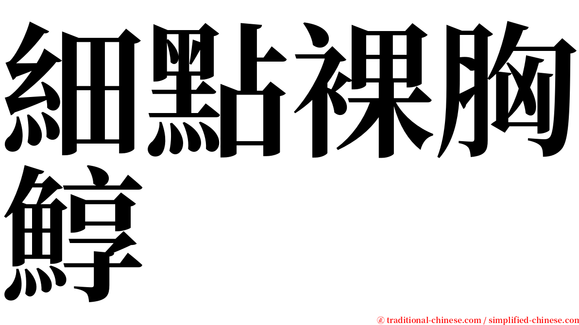 細點裸胸鯙 serif font