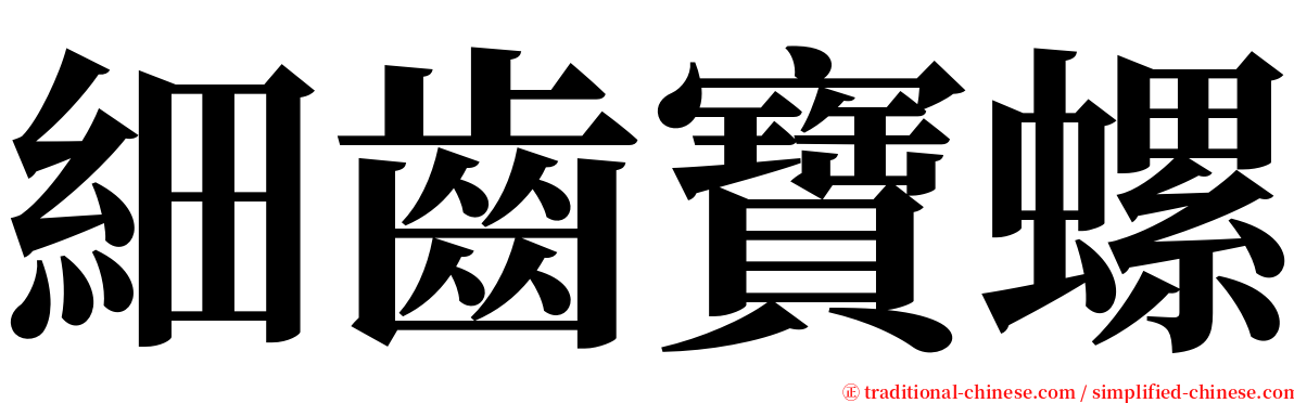 細齒寶螺 serif font