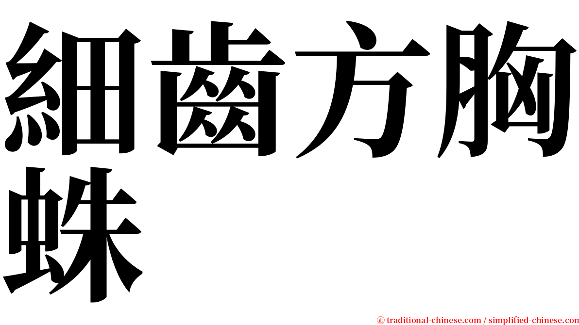 細齒方胸蛛 serif font