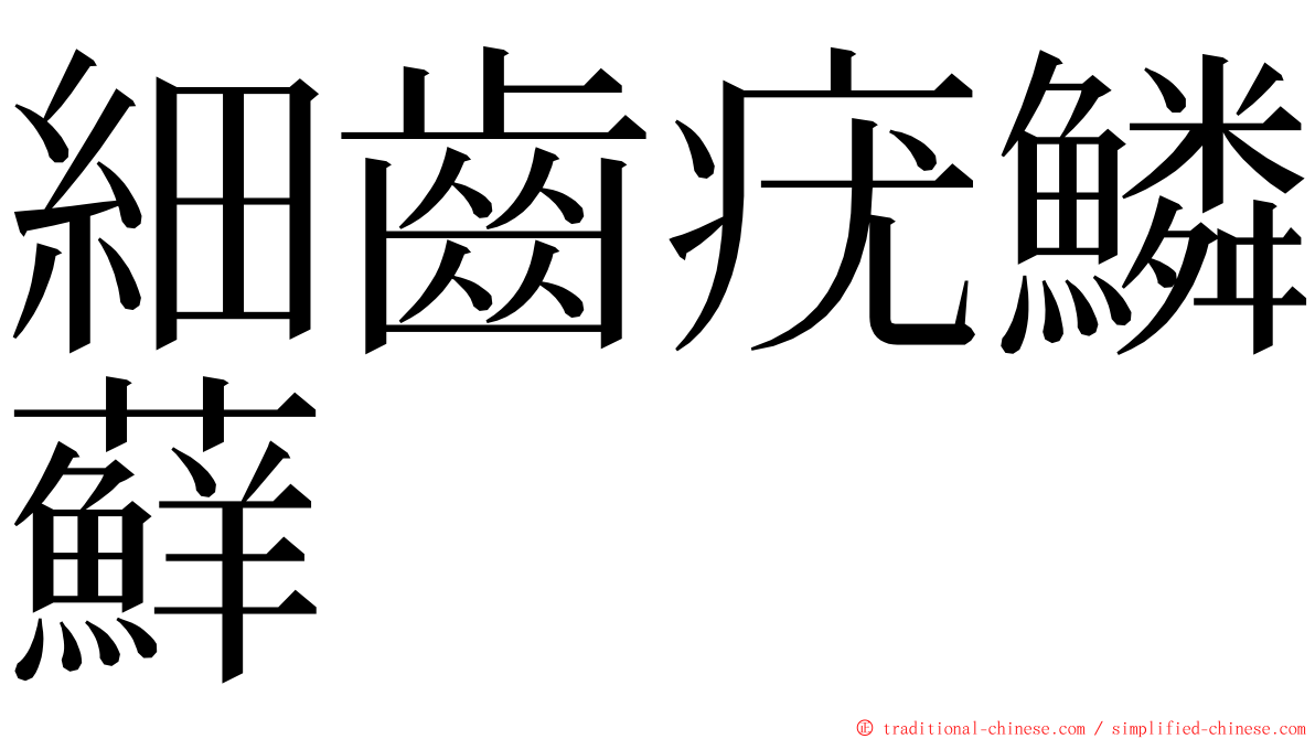 細齒疣鱗蘚 ming font