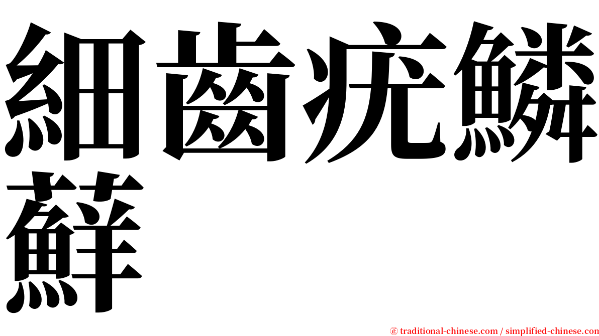 細齒疣鱗蘚 serif font