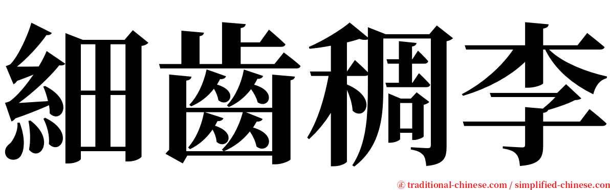 細齒稠李 serif font